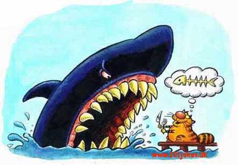 Funny picture of the day